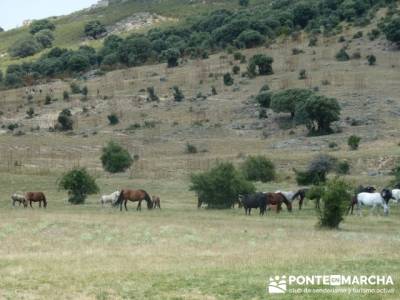 Dehesa de Fuentecuadrilla - grupos senderismo; bastones de trekking